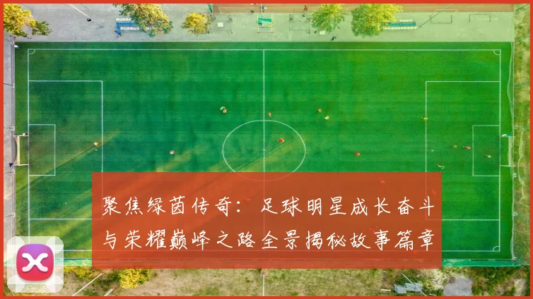 聚焦绿茵传奇：足球明星成长奋斗与荣耀巅峰之路全景揭秘故事篇章