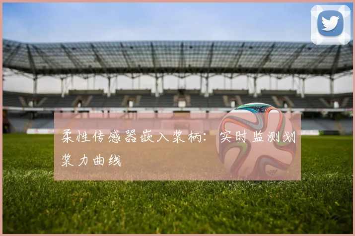 柔性传感器嵌入桨柄：实时监测划桨力曲线