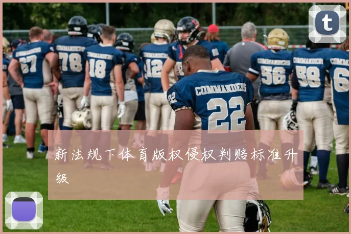 新法规下体育版权侵权判赔标准升级