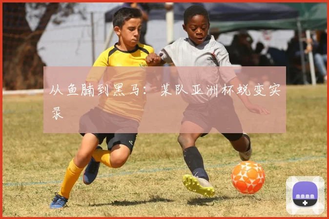 从鱼腩到黑马：某队亚洲杯蜕变实录