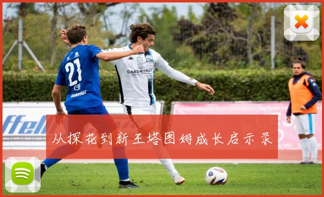 从探花到新王塔图姆成长启示录