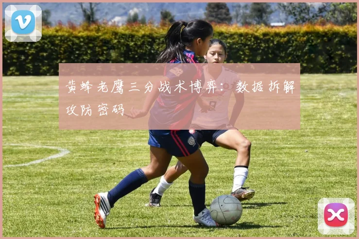 黄蜂老鹰三分战术博弈：数据拆解攻防密码